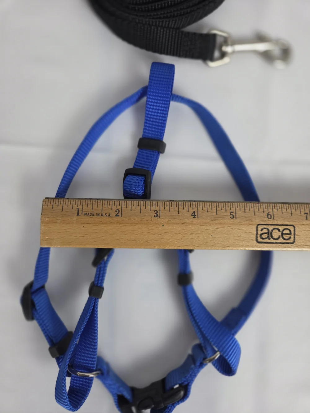 Blue Adjustable Dog Harness and Leash Set